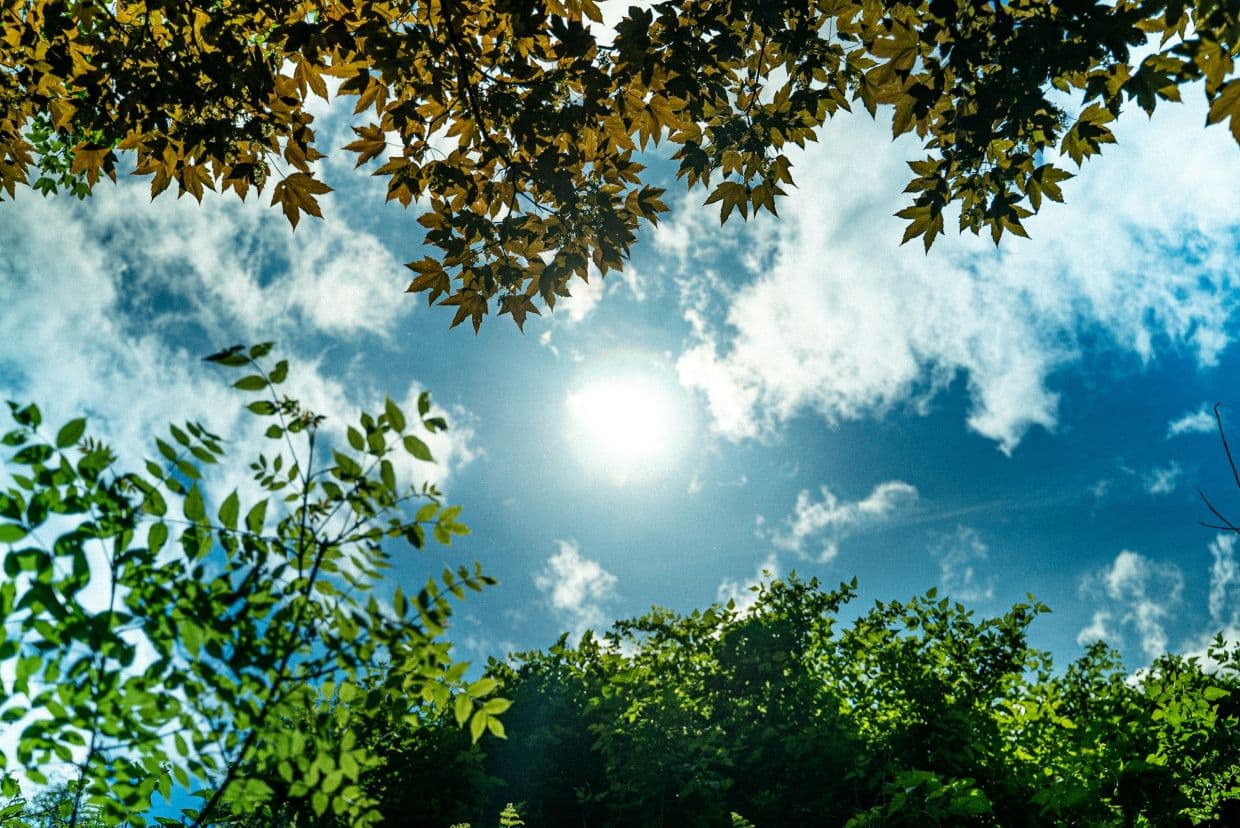 Study: Artificial cloud brightening could tame El Nino, but with risks