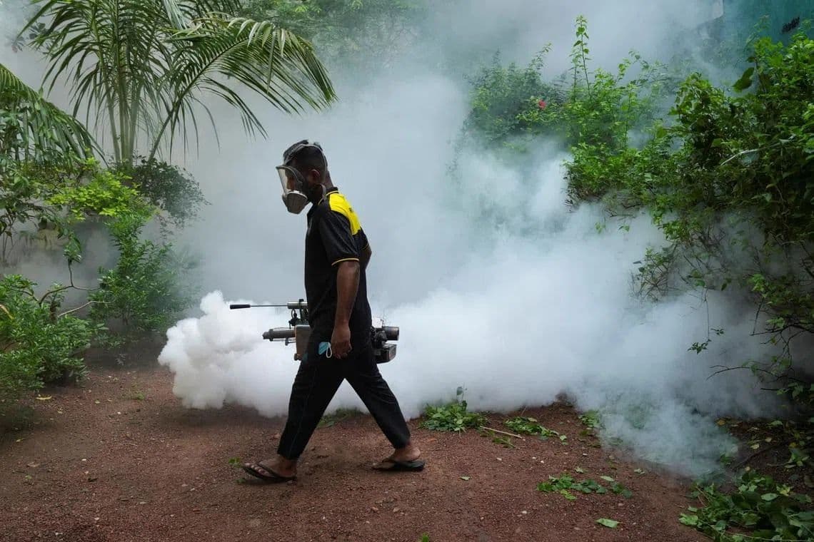 Authorities urge action as dengue cases spike