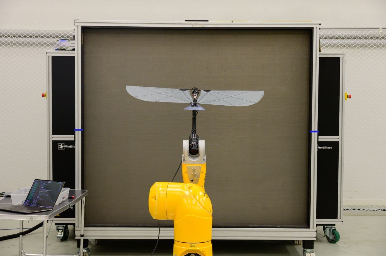 New winged robot can fly and swim like a puffin