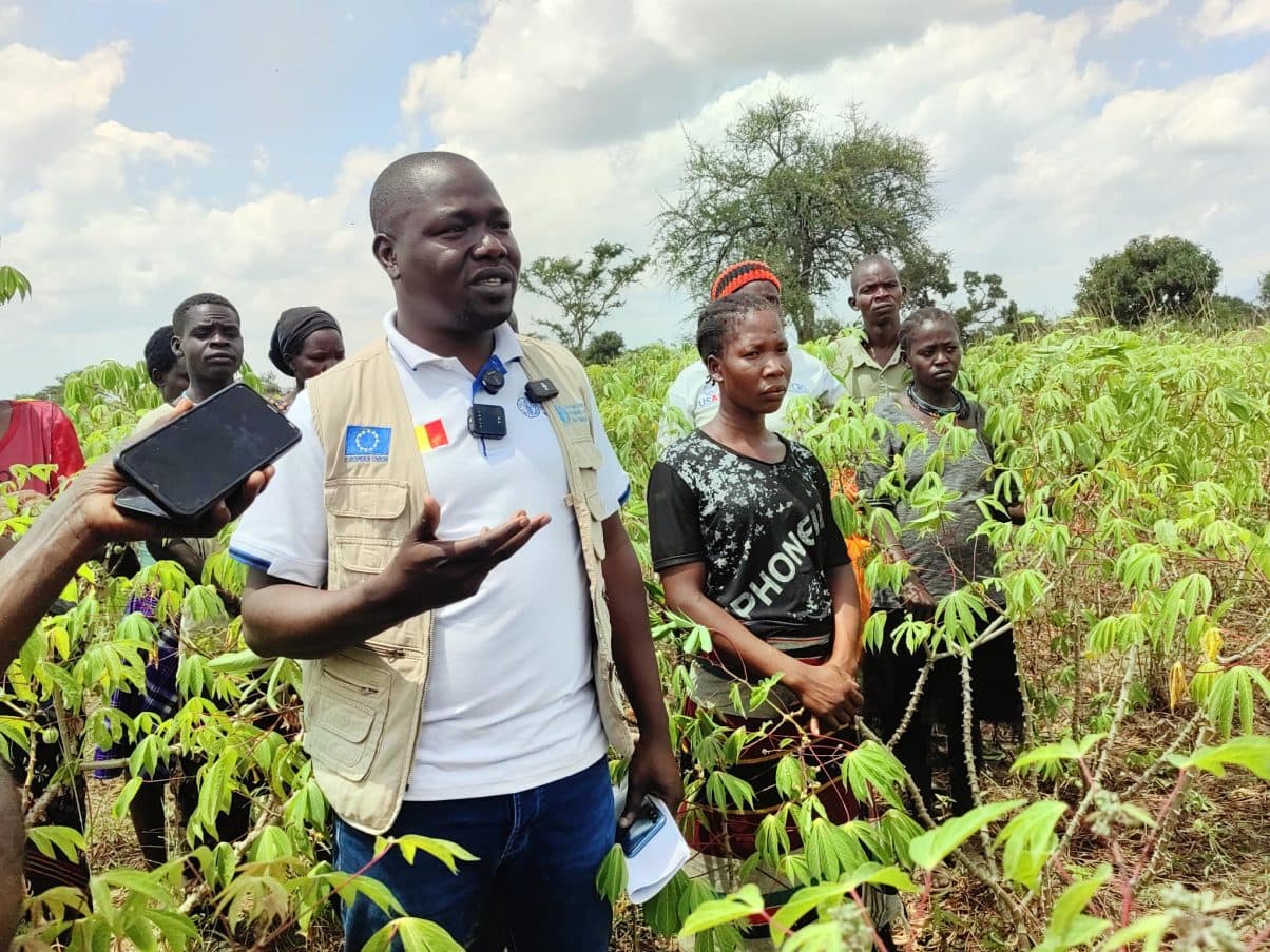 Drought-Resistant Cassava Offers Hope for Food Security Amid Hunger Crisis in Karamoja