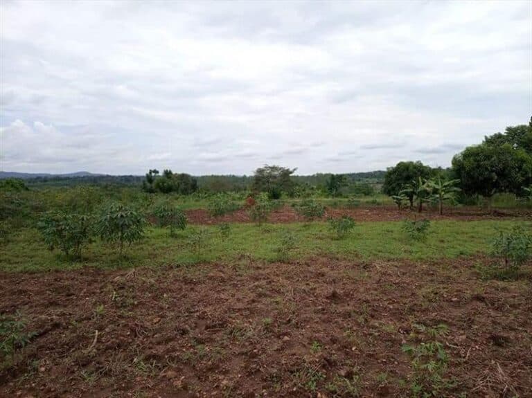 Govt urges Misungwi residents to embrace land formalisation