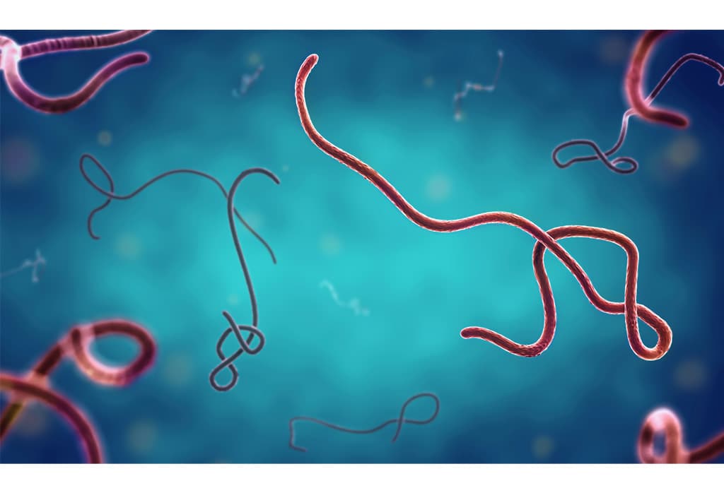Kagera heightens Ebola surveillance at borders, schools