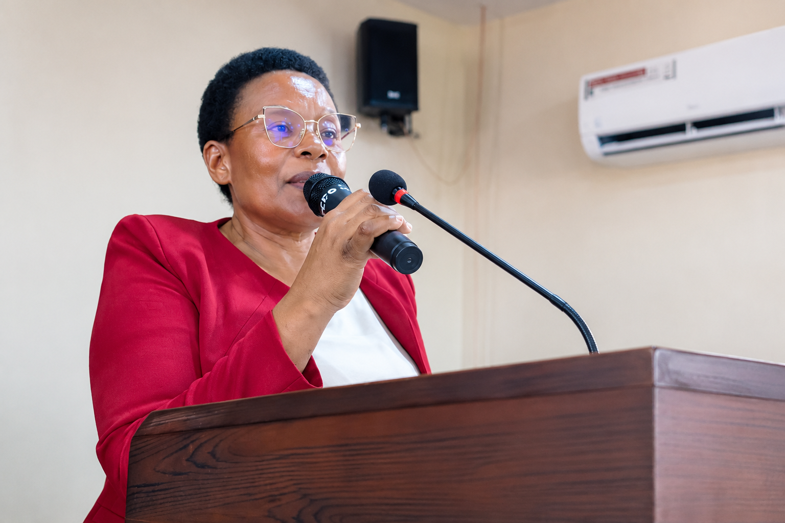 to 26 groups of women and youth a 10 percent domestic revenue loan scheme