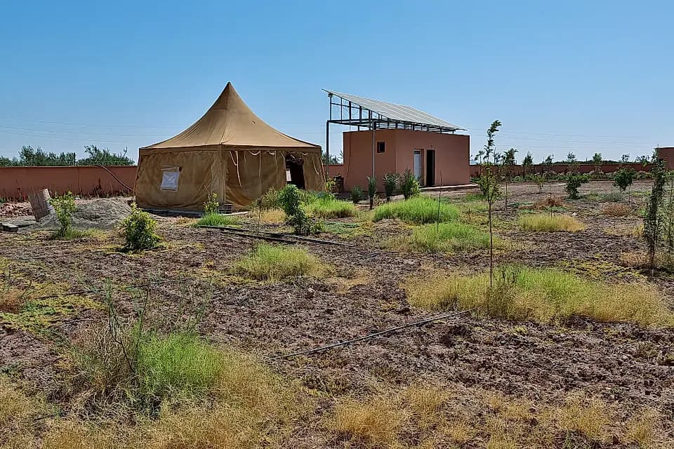 Buying property back home: How Tanzanians in diaspora can invest safely