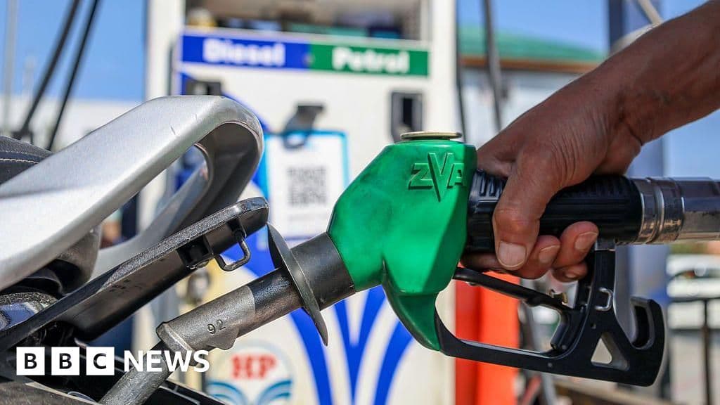 E20: India is adding ethanol to petrol