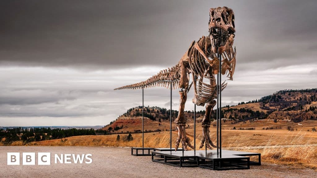 T. rex fossil could become most expensive dinosaur ever sold - BBC