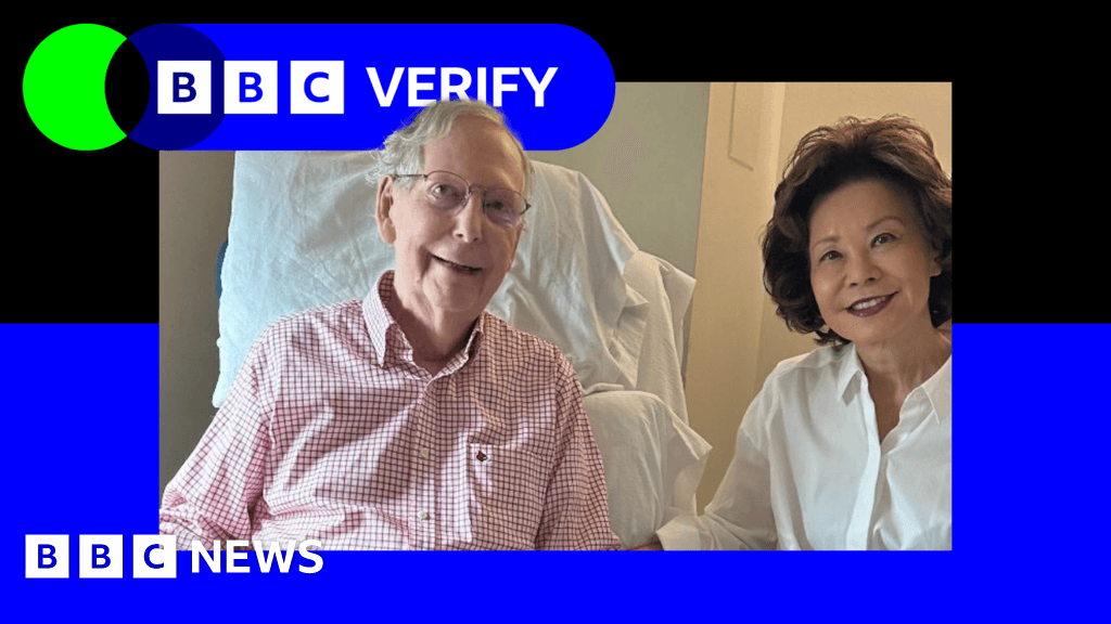 There's no evidence this Mitch McConnell photo is AI-generated - BBC
