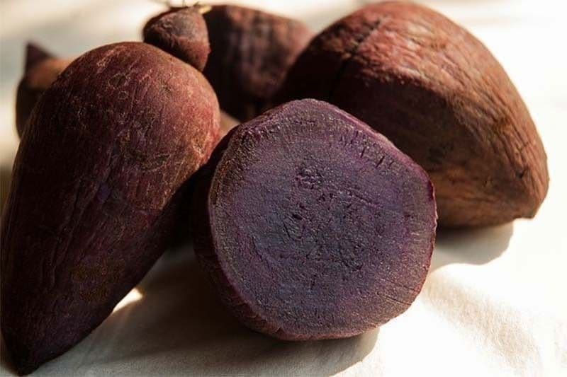 DA to boost Philippines ube exports