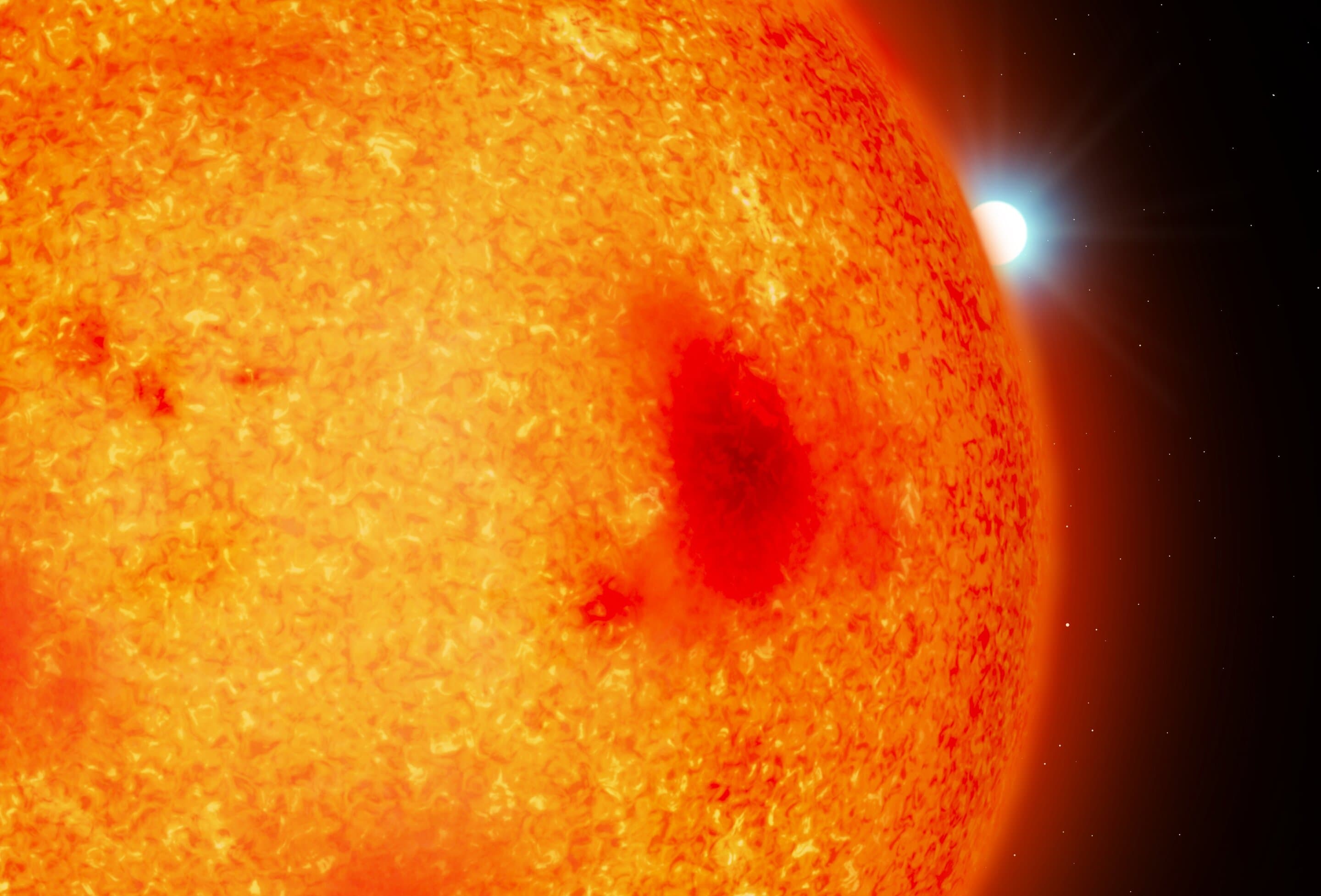 Dead stars in our cosmic backyard: Astronomers spot four white dwarfs hiding under our noses - Phys.org