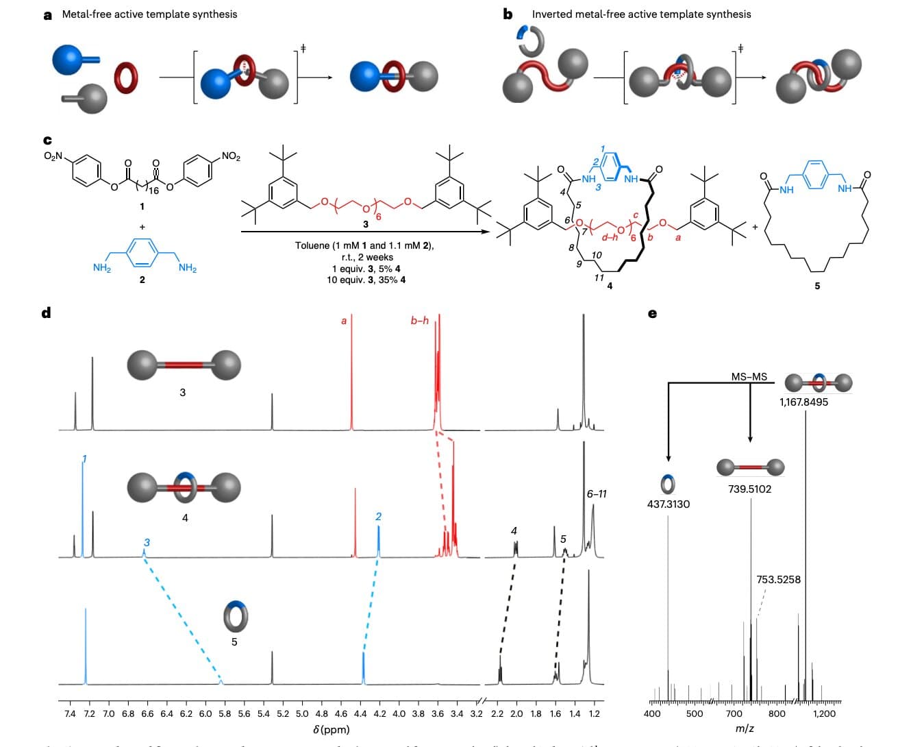 Self‑building molecular rings bring next‑generation drug delivery and smart materials closer - Phys.org