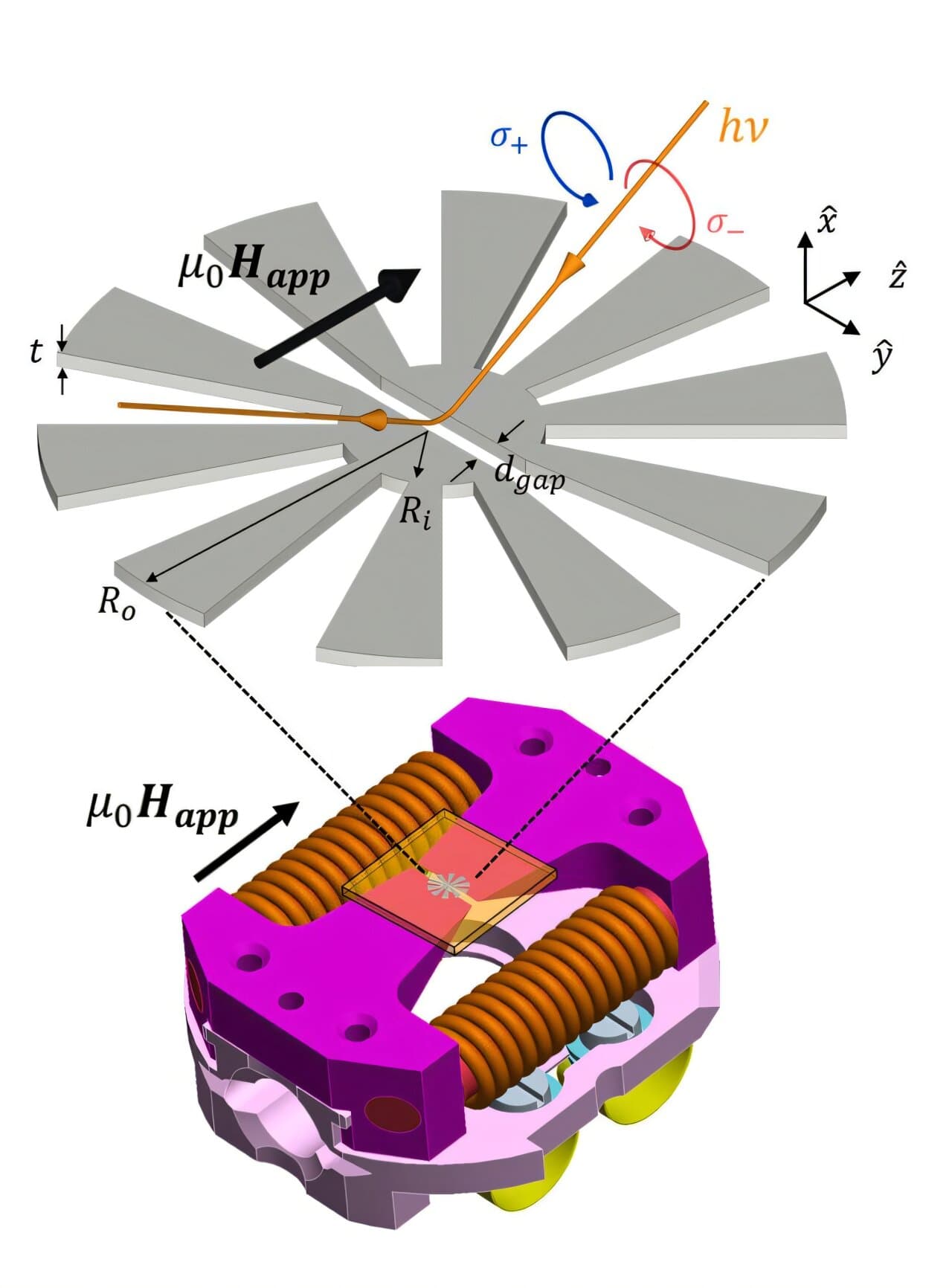 Tiny magnetic 'flowers' could expand how researchers image spintronic materials under stronger fields