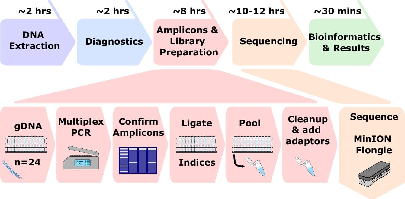 New genomic method to track disease outbreaks globally