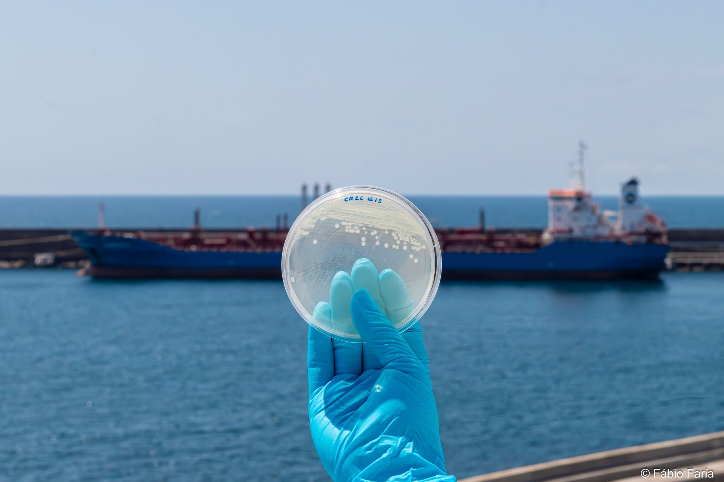 New platform creates digital map for marine biobanks