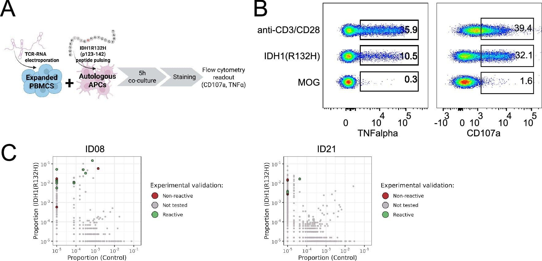 Brain tumor vaccine links mutation targeting to eight-year survival gains