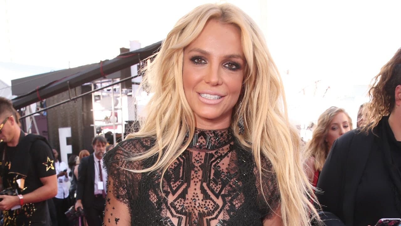 Britney Spears hangs out of sunroof on LA freeway near Studio City