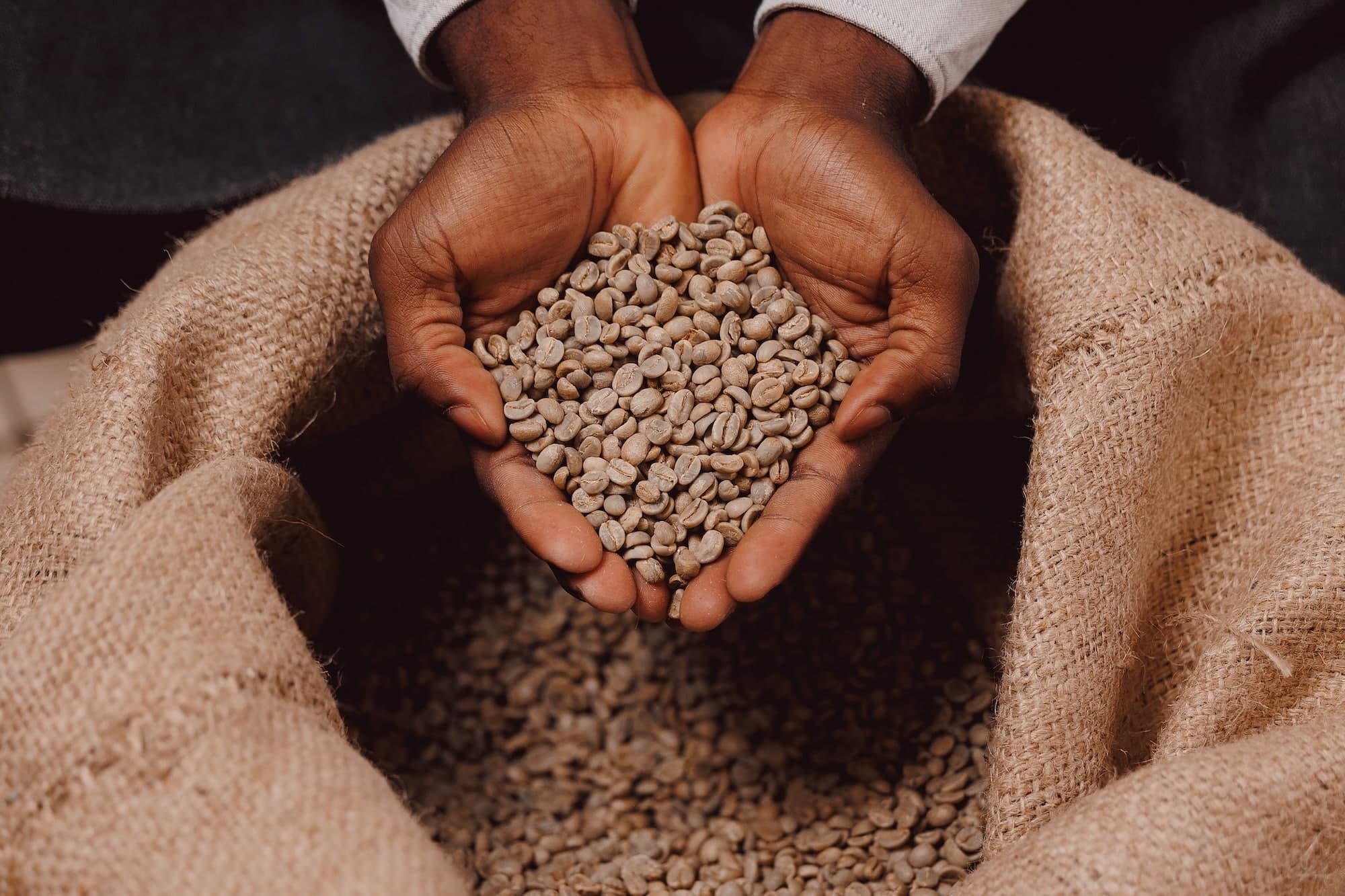Coffee futures surge to five