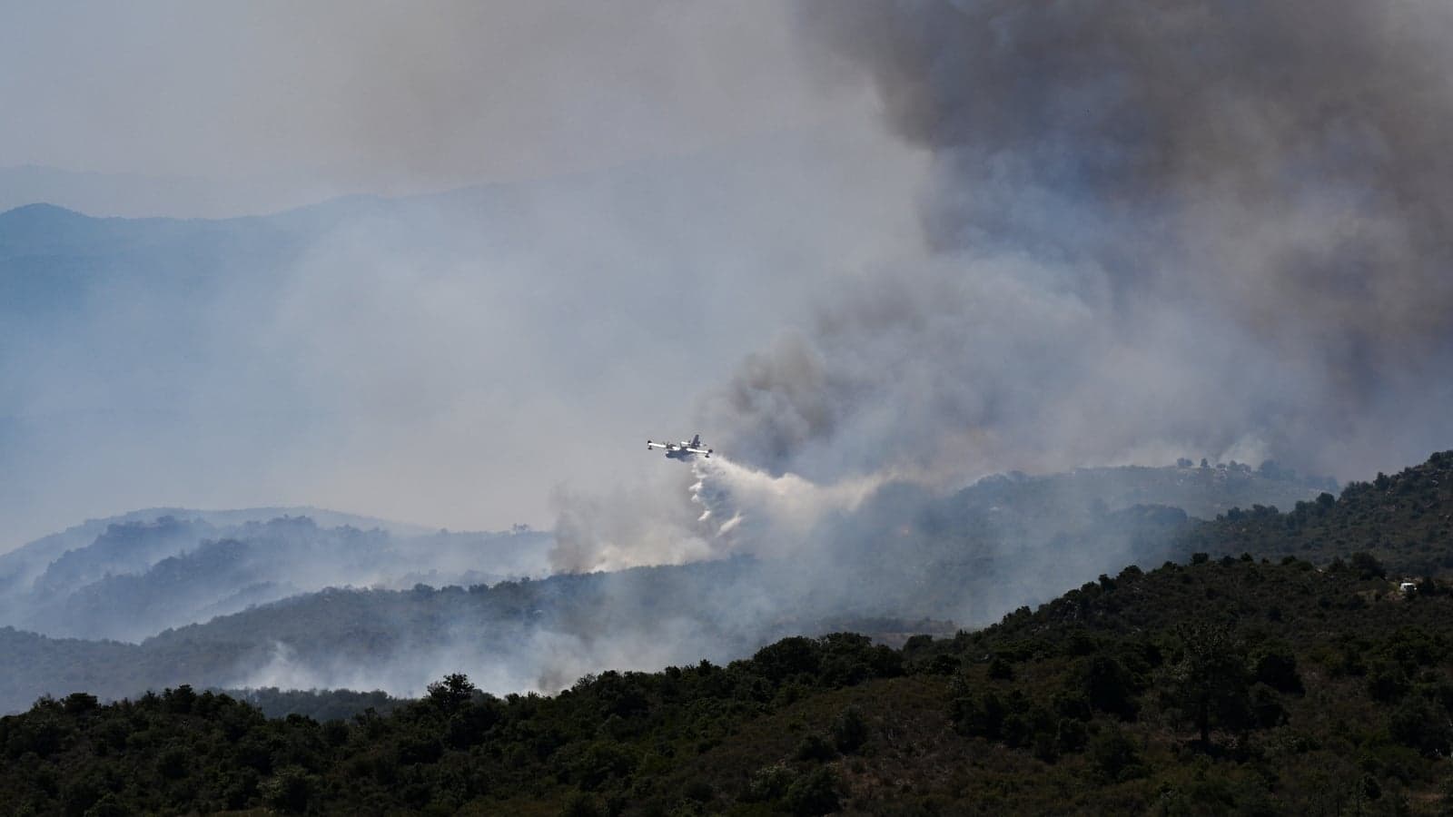 Infernos devastate forests as Europe's temperatures rise