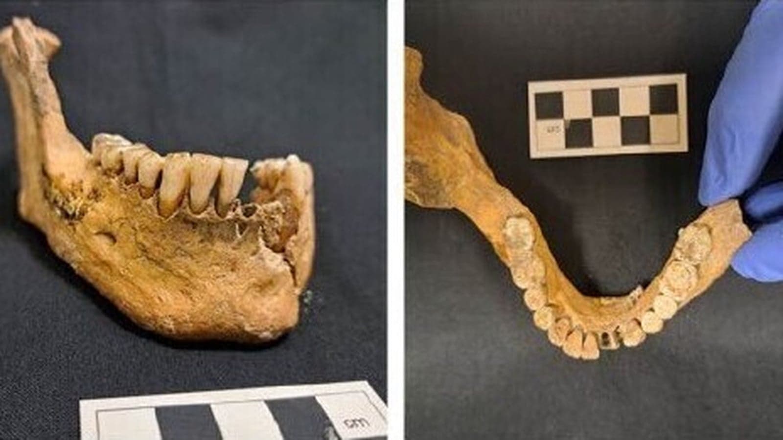 Leitrim human remains date to at least 5,300 years ago
