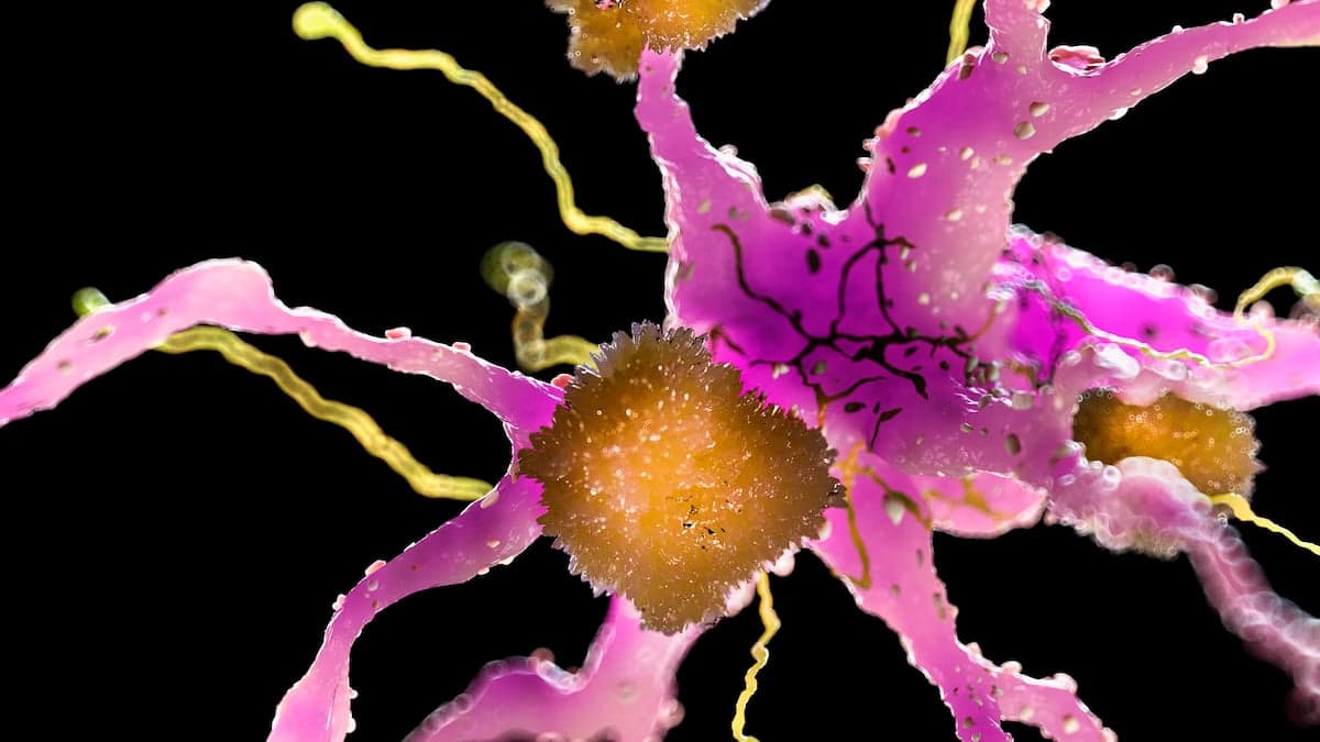 A Human-Safe Drug Reduces Multiple Signs of Alzheimer's in Mice