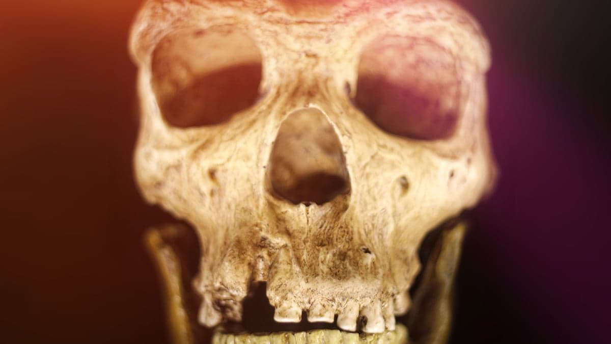 Humans And Neanderthals Shared a Culture For 20,000 Years, Cave Discovery Suggests