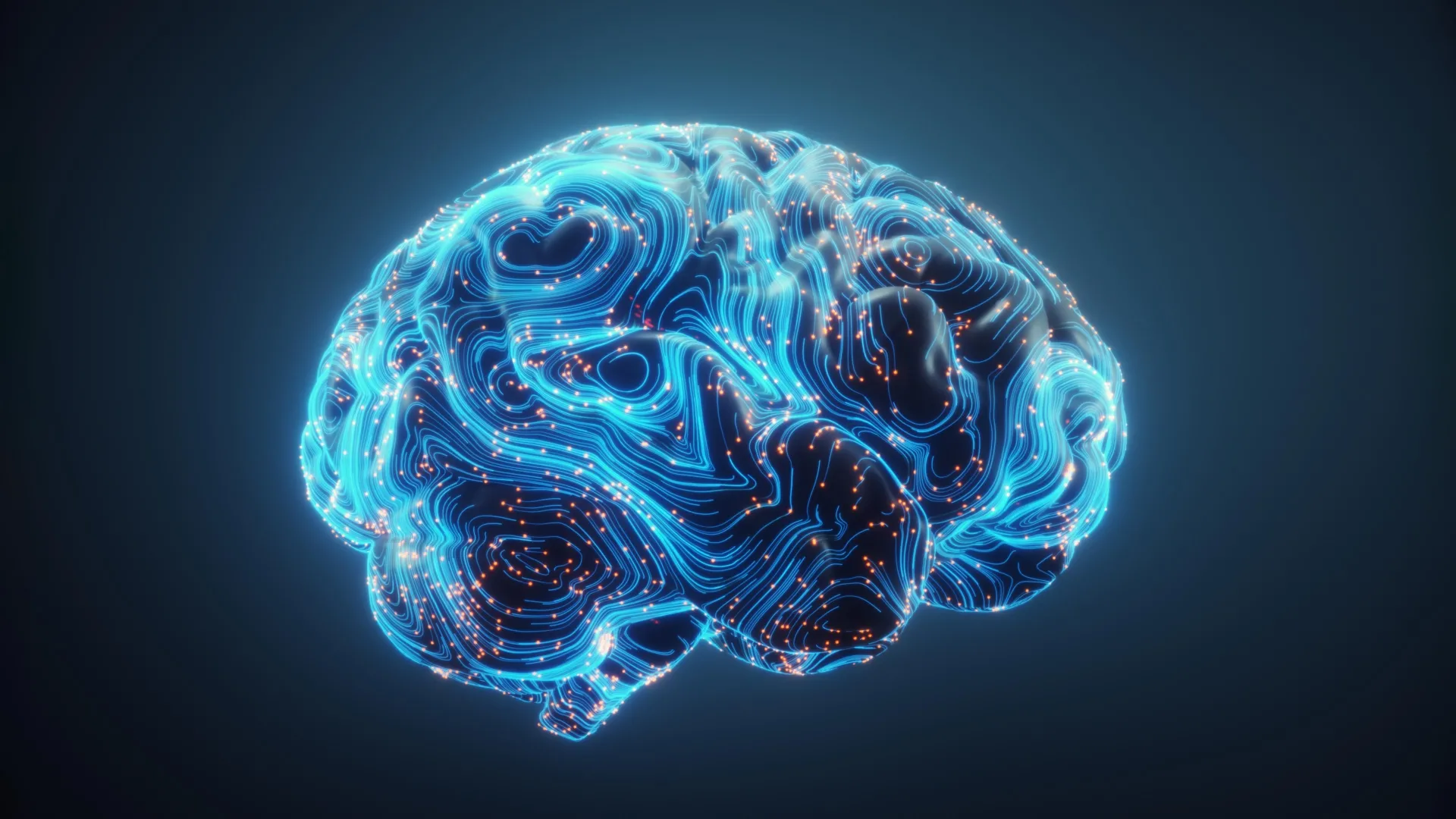 Scientists discover how the brain rewires itself to truly multitask